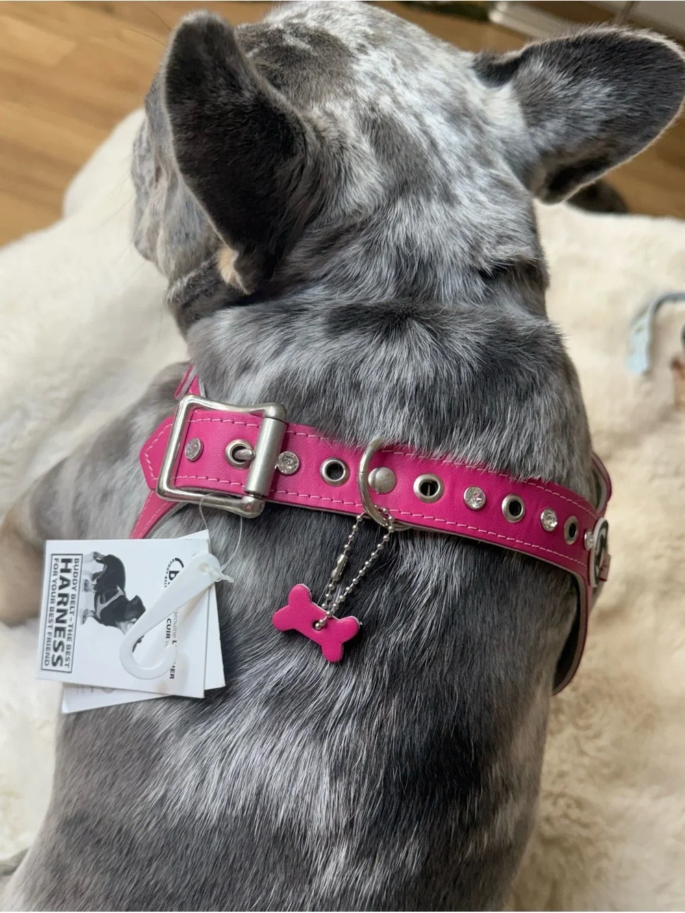 Buddy Belts Pink Leather Dog Harness with Swarovski Crystals & Soft Padding